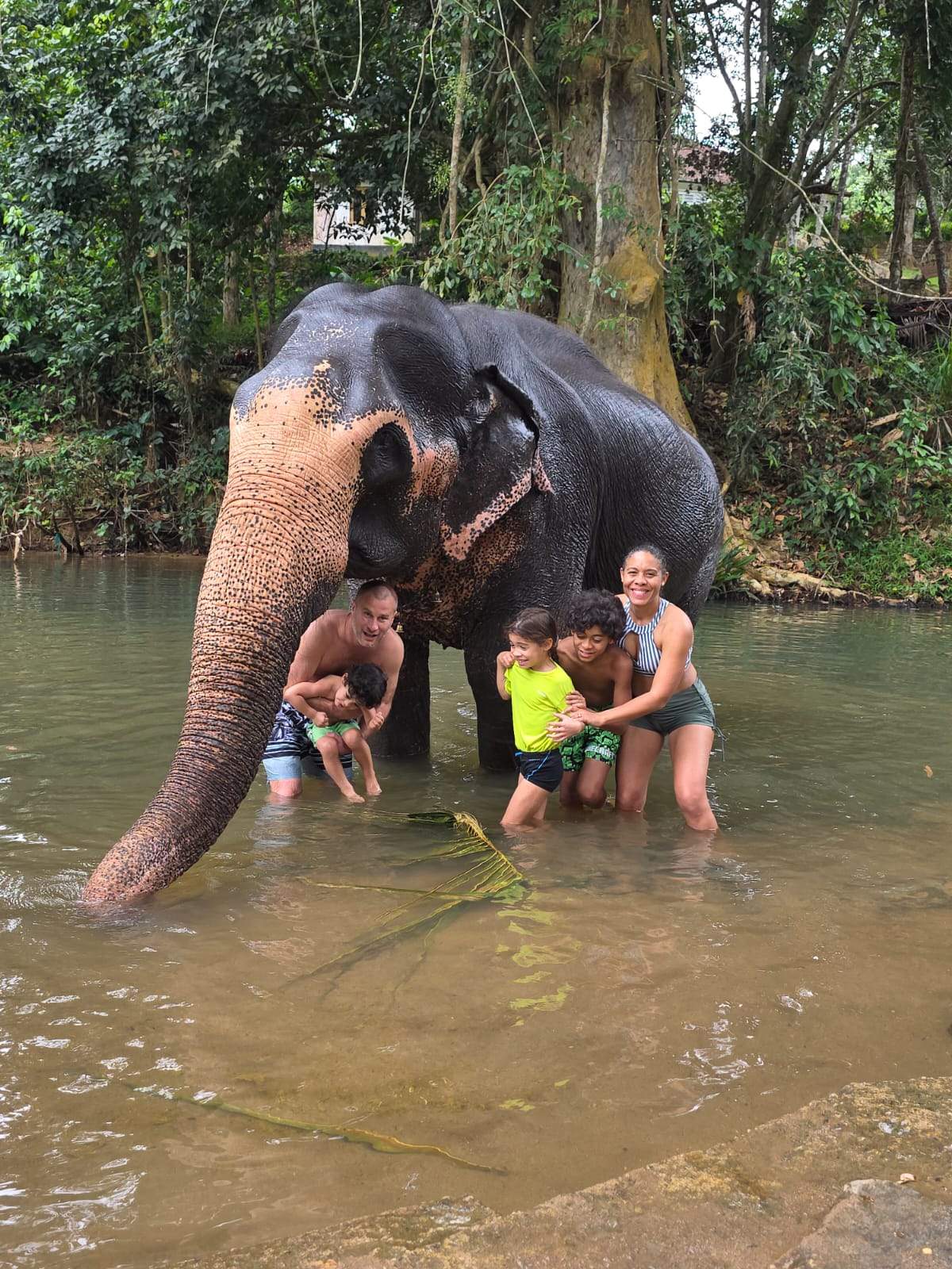 Witness the majestic elephants enjoying their daily bath at the Millennium Elephant Foundation (MEF) in Kegalle, located close to the Pinnawala Elephant Orphanage.