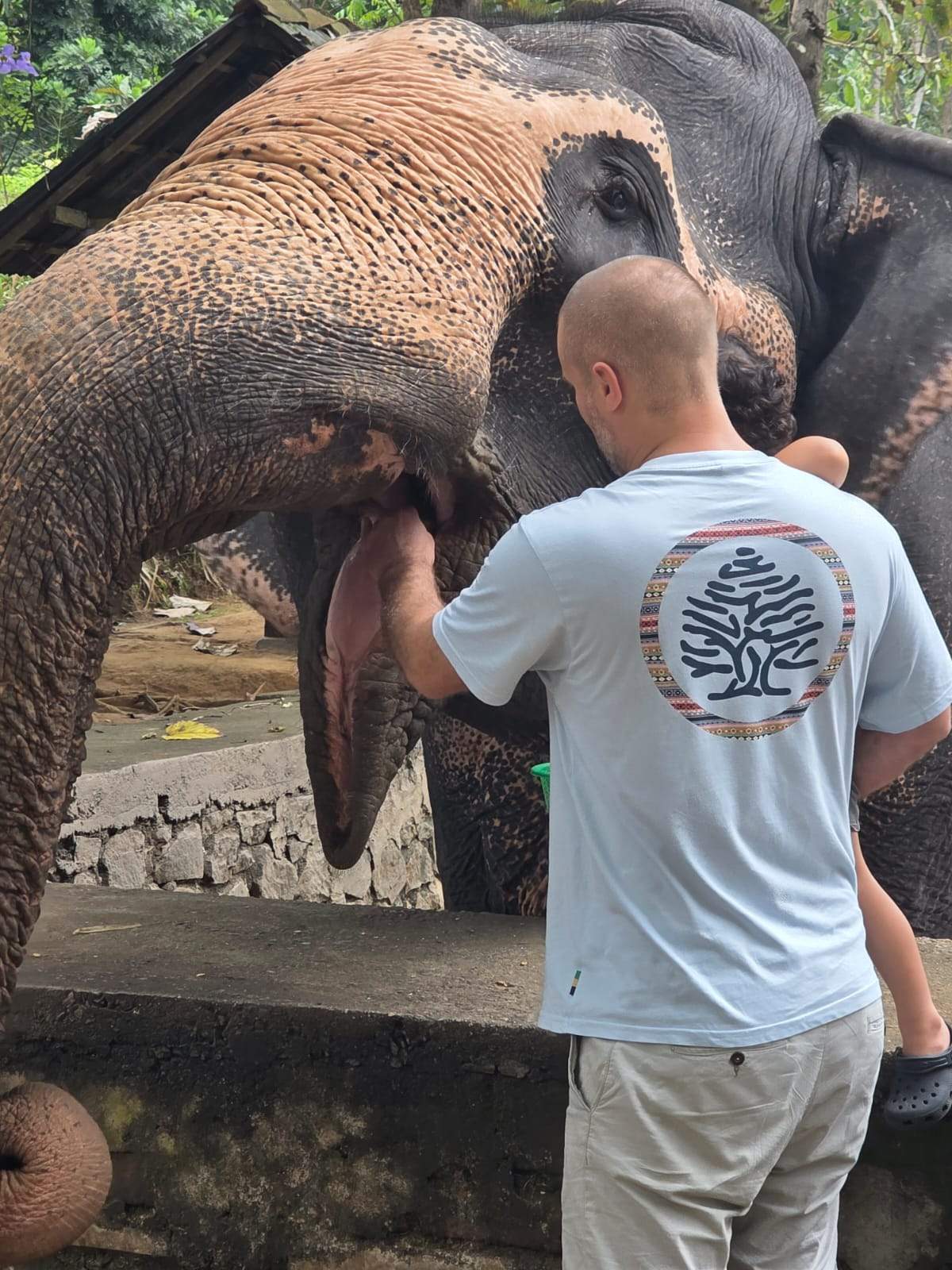 Millennium Elephant Foundation, Sri Lanka