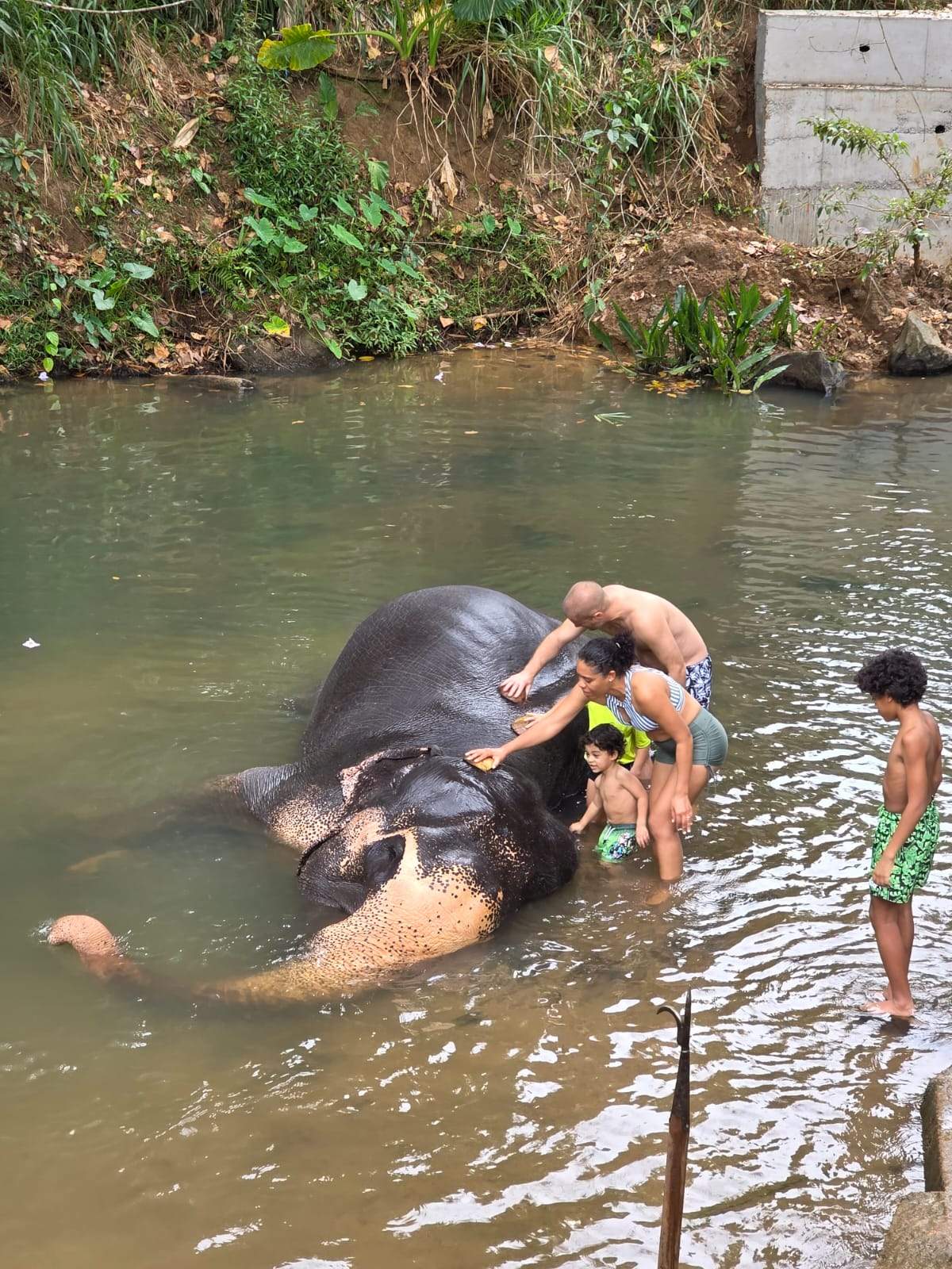 Elephant Bathing Experience - Millennium Elephant Foundation