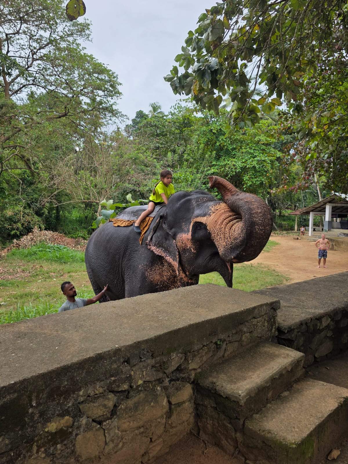 Unforgettable Elephant Encounters